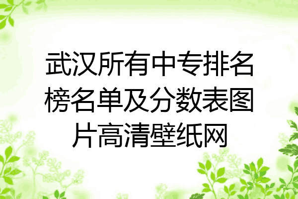 武汉所有中专排名榜名单及分数表图片高清壁纸网