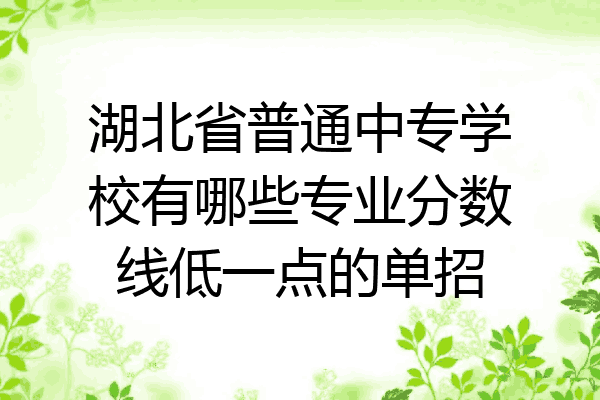湖北省普通中专学校有哪些专业分数线低一点的单招