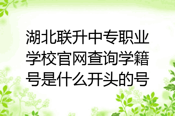 湖北联升中专职业学校官网查询学籍号是什么开头的号
