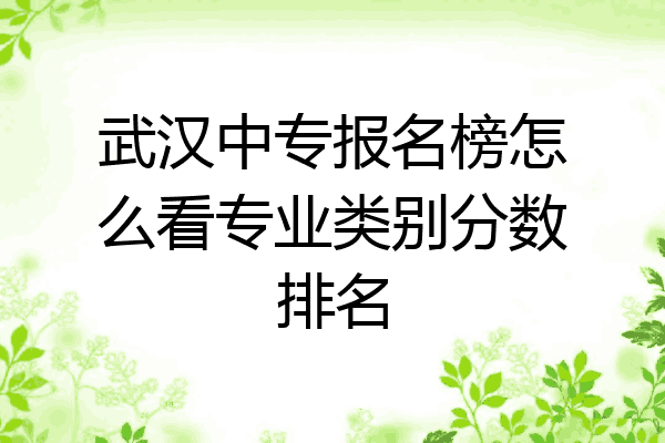 武汉中专报名榜怎么看专业类别分数排名