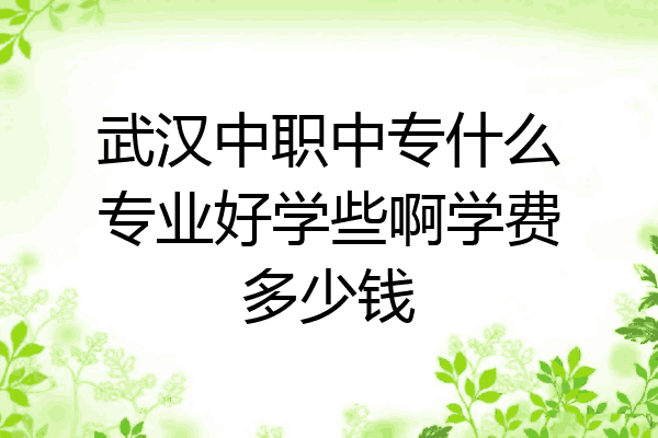 武汉中职中专什么专业好学些啊学费多少钱