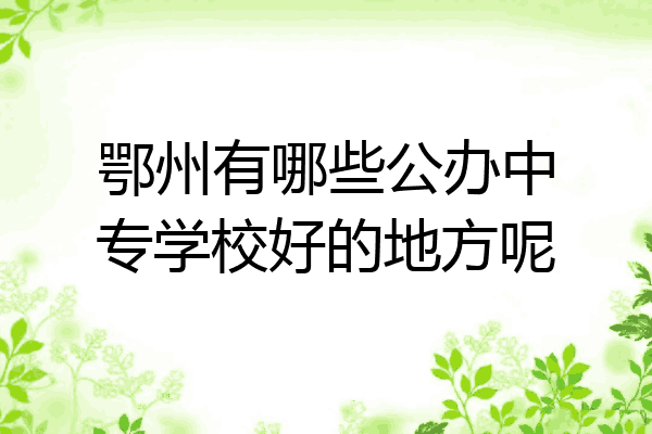 鄂州有哪些公办中专学校好的地方呢