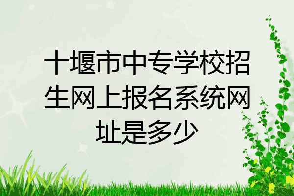 十堰市中专学校招生网上报名系统网址是多少