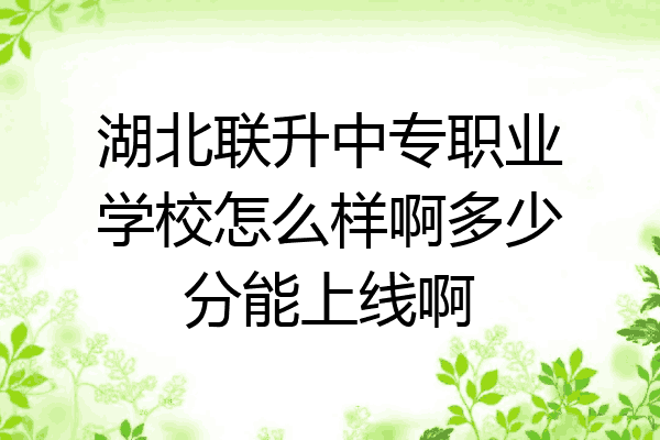 湖北联升中专职业学校怎么样啊多少分能上线啊