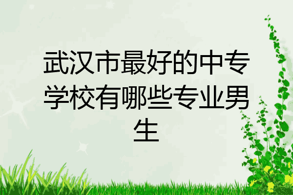 武汉市最好的中专学校有哪些专业男生