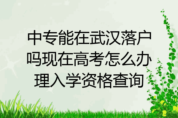 中专能在武汉落户吗现在高考怎么办理入学资格查询