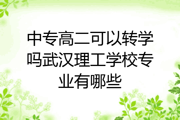 中专高二可以转学吗武汉理工学校专业有哪些