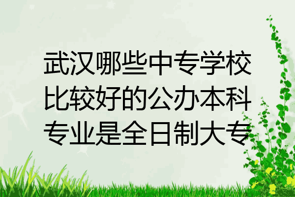 武汉哪些中专学校比较好的公办本科专业是全日制大专