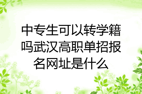 中专生可以转学籍吗武汉高职单招报名网址是什么