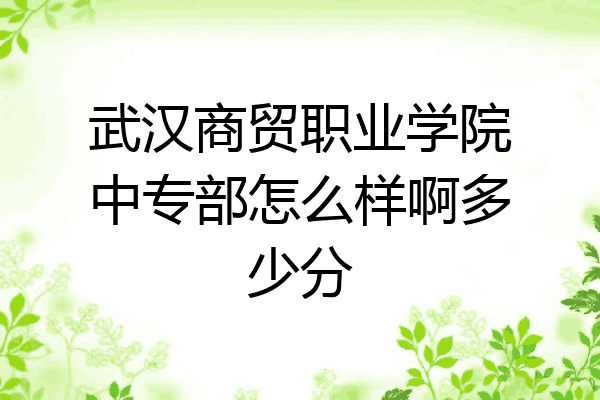 武汉商贸职业学院中专部怎么样啊多少分