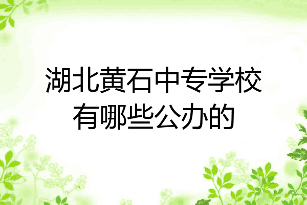 湖北黄石中专学校有哪些公办的