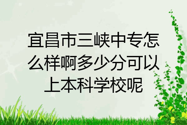 宜昌市三峡中专怎么样啊多少分可以上本科学校呢