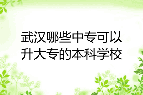 武汉哪些中专可以升大专的本科学校