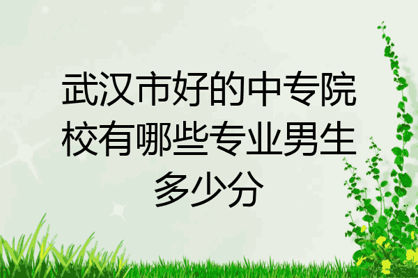 武汉市好的中专院校有哪些专业男生多少分