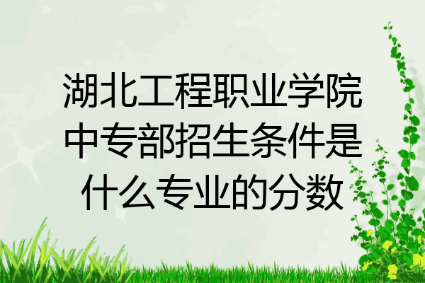 湖北工程职业学院中专部招生条件是什么专业的分数