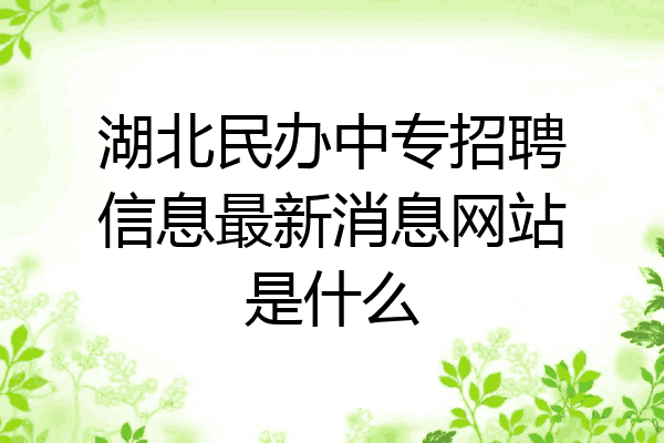 湖北民办中专招聘信息最新消息网站是什么