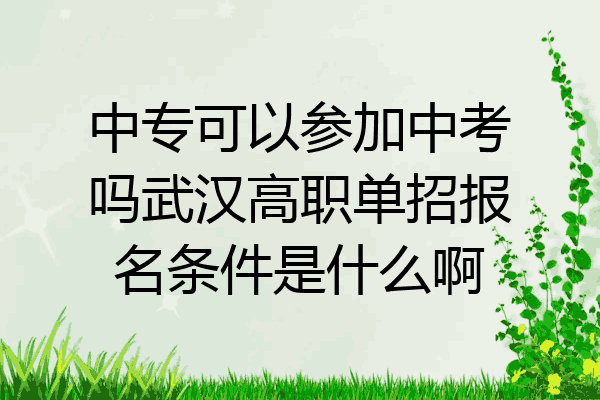 中专可以参加中考吗武汉高职单招报名条件是什么啊