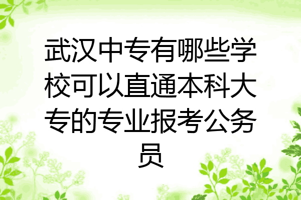 武汉中专有哪些学校可以直通本科大专的专业报考公务员