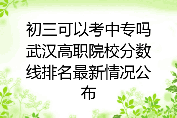 初三可以考中专吗武汉高职院校分数线排名最新情况公布