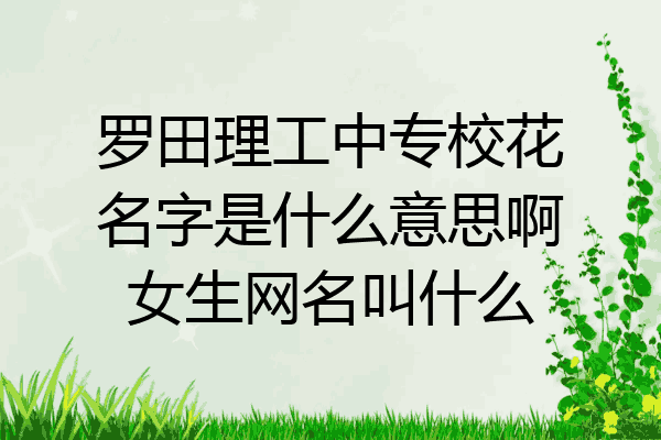 罗田理工中专校花名字是什么意思啊女生网名叫什么