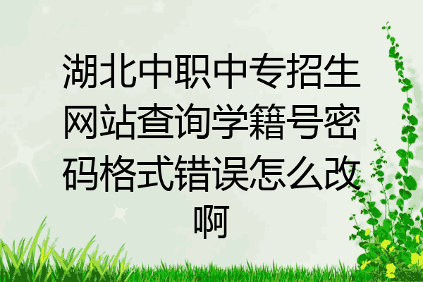 湖北中职中专招生网站查询学籍号密码格式错误怎么改啊