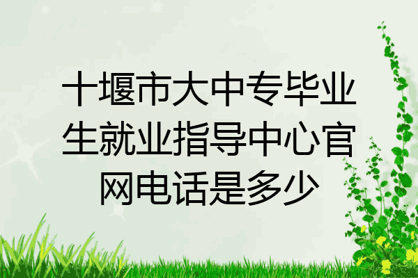 十堰市大中专毕业生就业指导中心官网电话是多少