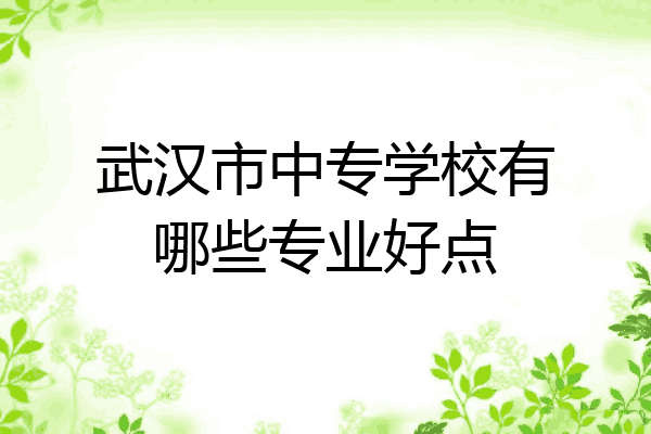 武汉市中专学校有哪些专业好点