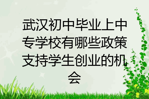 武汉初中毕业上中专学校有哪些政策支持学生创业的机会