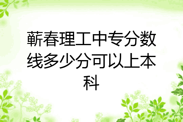 蕲春理工中专分数线多少分可以上本科
