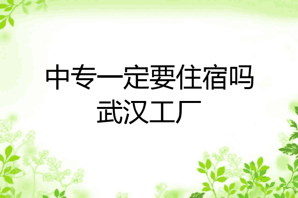 中专一定要住宿吗武汉工厂