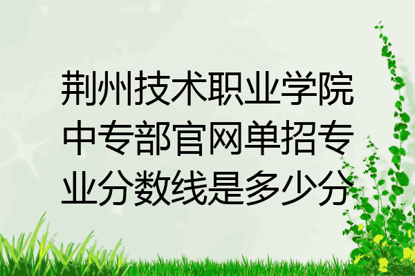 荆州技术职业学院中专部官网单招专业分数线是多少分