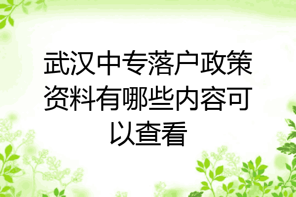 武汉中专落户政策资料有哪些内容可以查看
