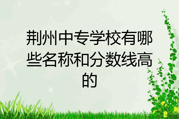 荆州中专学校有哪些名称和分数线高的