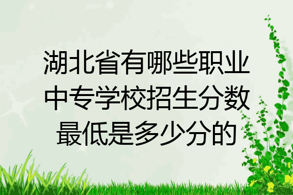 湖北省有哪些职业中专学校招生分数最低是多少分的