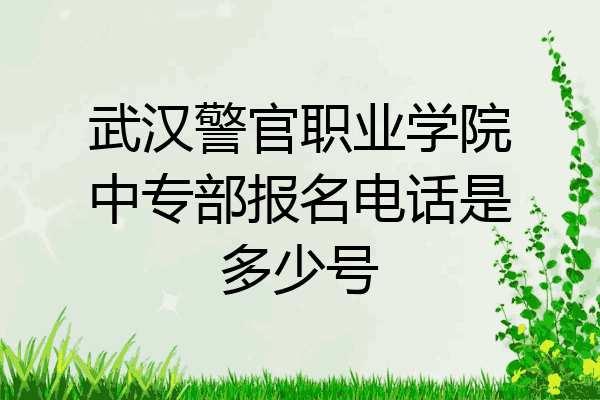 武汉警官职业学院中专部报名电话是多少号