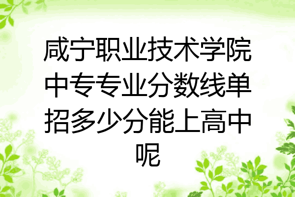 咸宁职业技术学院中专专业分数线单招多少分能上高中呢