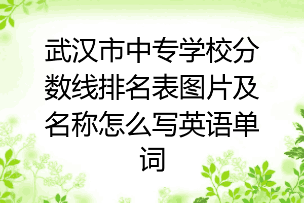 武汉市中专学校分数线排名表图片及名称怎么写英语单词