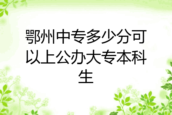 鄂州中专多少分可以上公办大专本科生