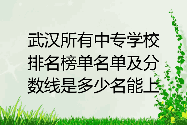 武汉所有中专学校排名榜单名单及分数线是多少名能上