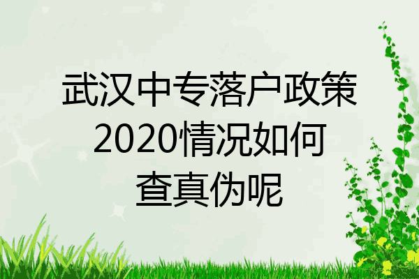 武汉中专落户政策2020情况如何查真伪呢