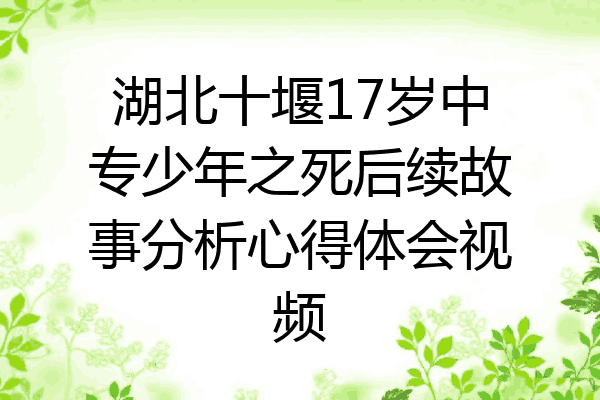 湖北十堰17岁中专少年之死后续故事分析心得体会视频