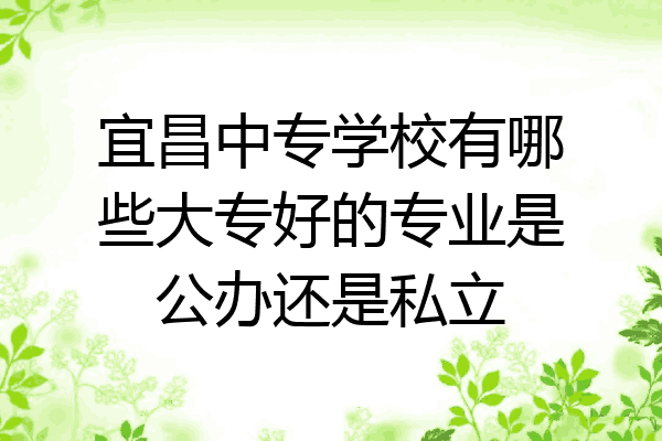 宜昌中专学校有哪些大专好的专业是公办还是私立