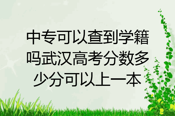 中专可以查到学籍吗武汉高考分数多少分可以上一本