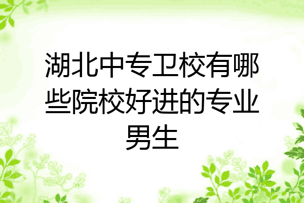湖北中专卫校有哪些院校好进的专业男生