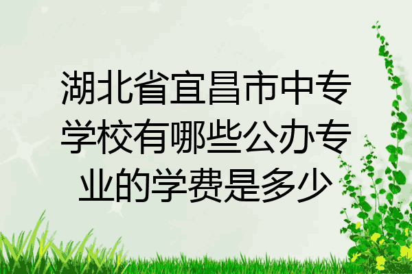 湖北省宜昌市中专学校有哪些公办专业的学费是多少