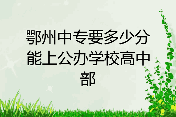 鄂州中专要多少分能上公办学校高中部