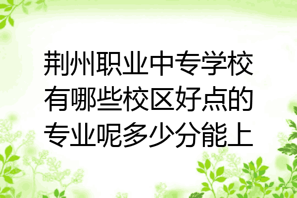 荆州职业中专学校有哪些校区好点的专业呢多少分能上