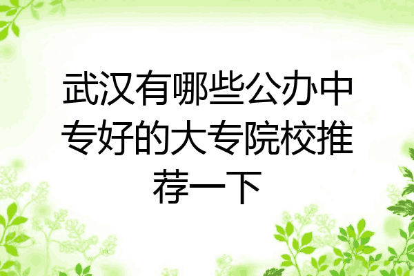 武汉有哪些公办中专好的大专院校推荐一下