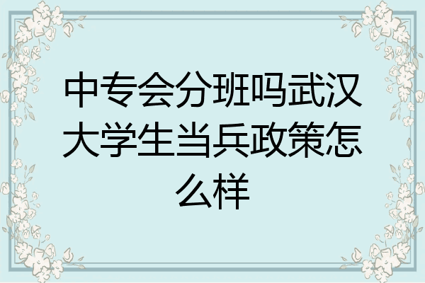 中专会分班吗武汉大学生当兵政策怎么样