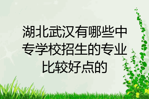 湖北武汉有哪些中专学校招生的专业比较好点的
